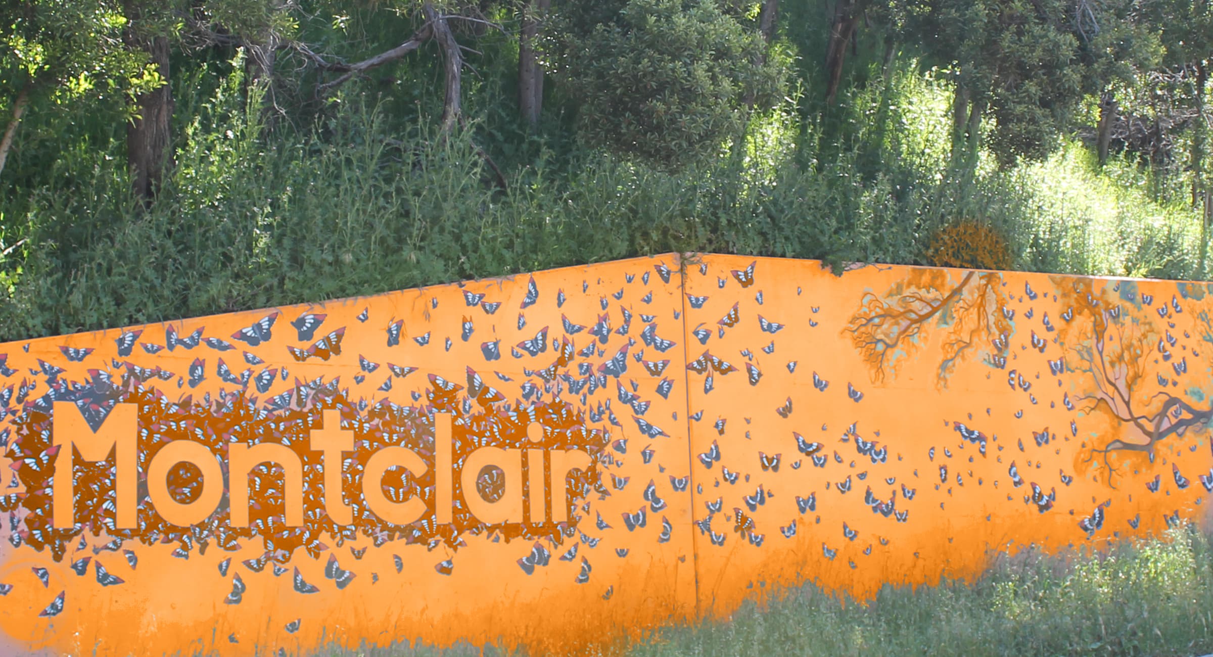 Montclair neighborhood